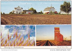 Canada Multi View Farming In Saskatchewan