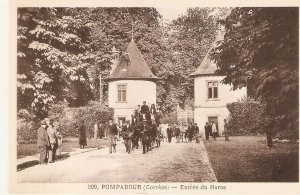 Horses. Pompadour (correze). Entre du Haras  Old vintage French photo postcard