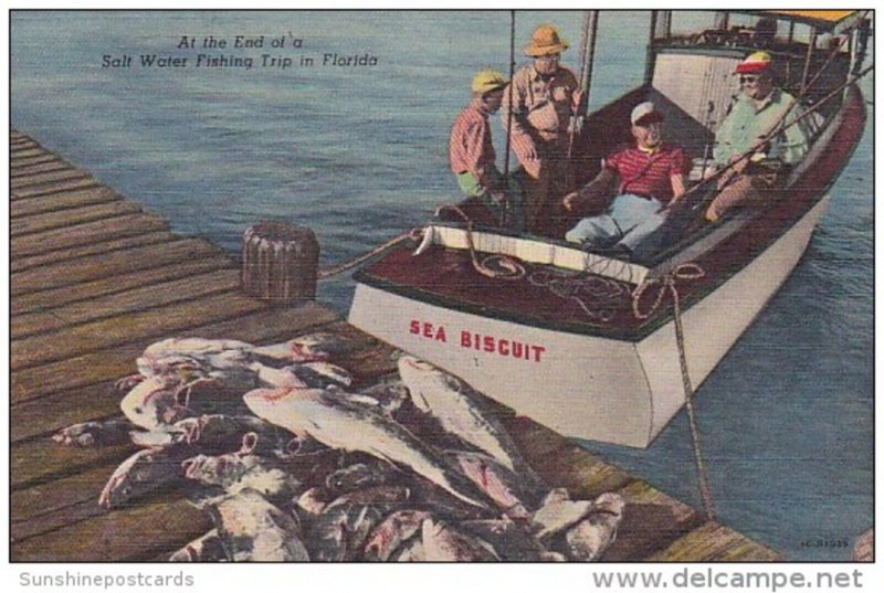 Florida Day's Catch On Sea Biscuit At The End Of A Salt Water Fishing Tr...