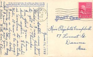 Tropical Sunset over Sarasota Bay Sarasota FL Postcard