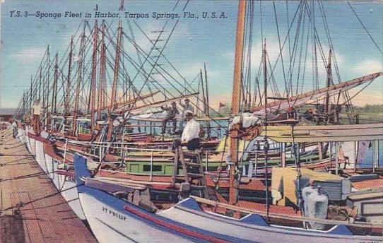 Florida Tarpon Springs Sponge Feel In Harbor 1941