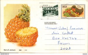 RSA South Africa Postal Stationery Ananas to Excom