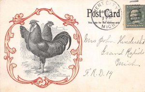 Kent City Michigan Edgar Chase Chicken Farming Advertising Postcard AA69241