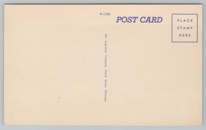 Bridge~Abraham Lincoln Memorial Bridge View From Below~Vintage Postcard 