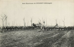 PC AUSTRALIA, AUX ENVIRONS DE SYDNEY, ATTELAGES, Vintage Postcard (b31413)