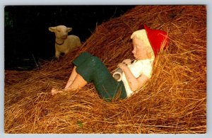 Little Boy Blue, Never Never Land, Hill Island, 1000 Islands Ontario Postcard