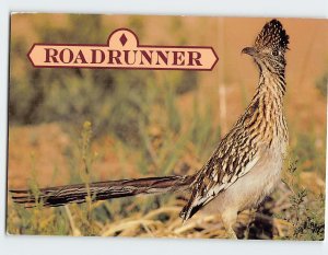 M-112726 The Roadrunner Clown of the West