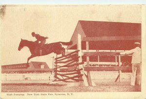 Postcard High Jumping Horse New York State Fair Syracuse Steeplechase