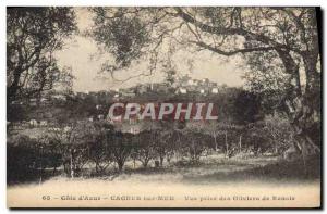 Old Postcard Cote D & # 39Azur Cagnes Sur Mer View Renoir olive trees of jack