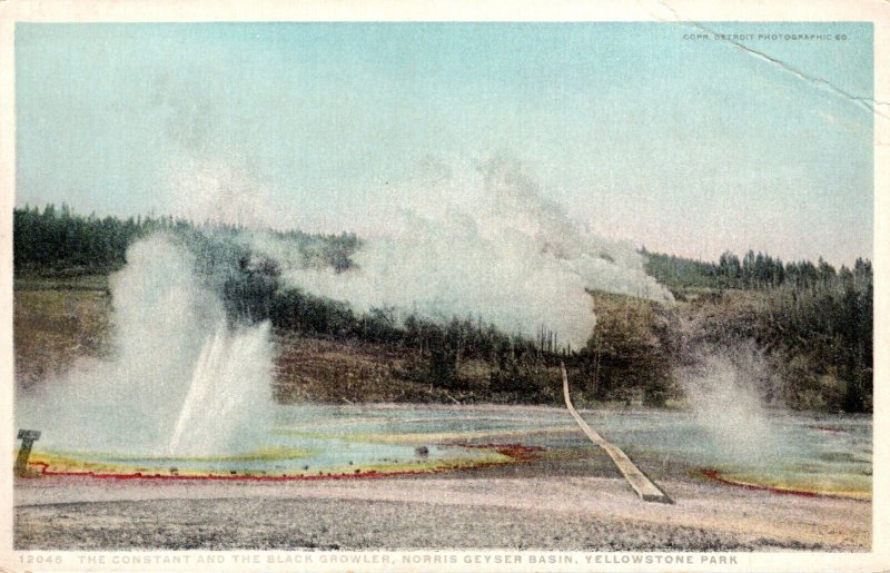Yellowstone National Park Constant and The Black Growler Norris Geyser Basin ...