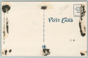 Maumee Ohio~Public Library And Trees~1920s Postcard