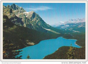 Canada Peyto Lake Banff National Park Alberta