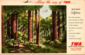 Advertising Trans World Airlines Muir Woods California