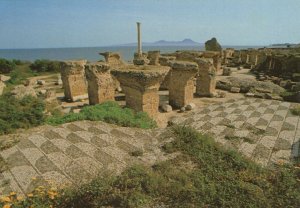 Tunisia Postcard - Carthage: Les Thermes d'Antonin   RR9083