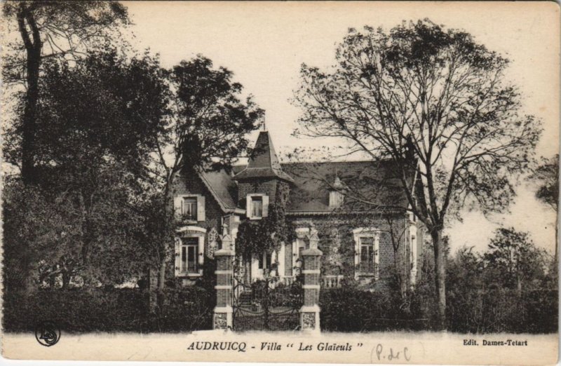 CPA AUDRUICQ-Villa Les Glaieuls (45720)