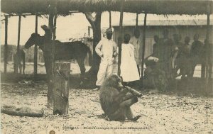 Africa Senegal ape examines bottle zoo c-1910 undivided Postcard 22-5102