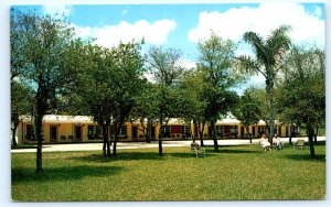 AVON PARK, Florida FL~ Roadside SOUTHERNAIRE MOTEL 1950s Meredith Jones Postcard