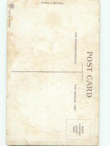 Divided-Back BEAUTIFUL FLOWERS SCENE Great Postcard AA3859