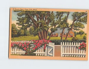 Postcard A Beauty Spot Cape Cod Dennis Massachusetts USA