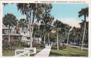 Florida Daytona Palmetto Avenue Street Scene Looking North 1928 Curteich
