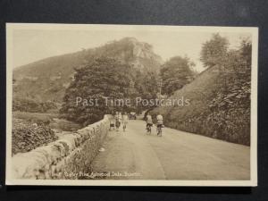 Derbyshire: Buxton, Topley Pike, Ashwood Dale - Old Postcard