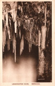 Bermuda Leamington Cave Vintage Postcard 05.32