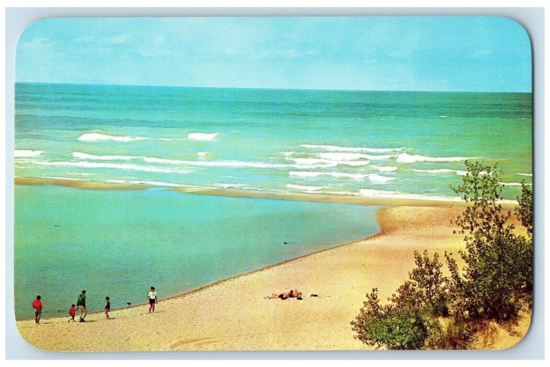 Warren Dunes State Park Sawyer MI, View Along Shores Lake Michigan Postcard