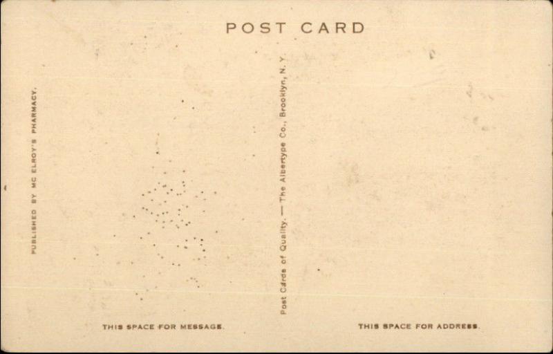 Orlando FL Bank & Trust Co c1920 Postcard