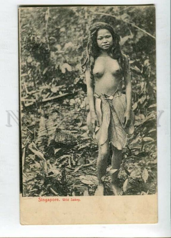 3147490 SINGAPORE Nude girl Wils Sakey Vintage postcard