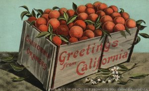 Vintage Postcard 1914 Box of Oranges I Promised You Greetings From California CA