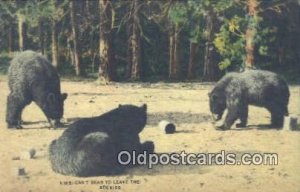 Rockies USA Bear Postcard