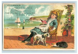 1880s L.J Wheelden Pianos Girl Dog Cat  Flowers Fab! Bangor, ME Lot Of 6 P205