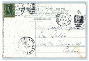 1907 Valentine Dove Birds Sending Cards Pansies Flowers And Shamrock Postcard