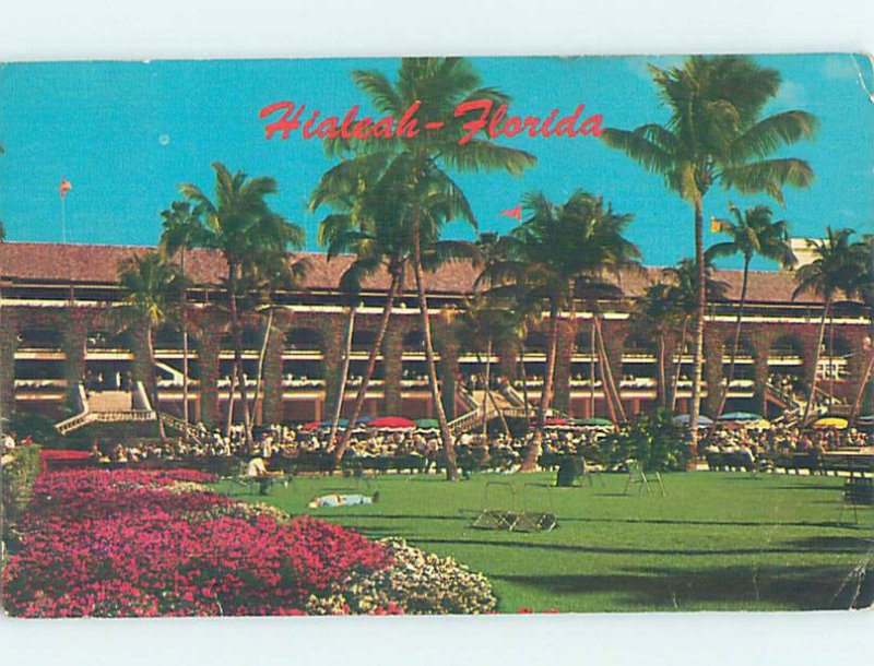 Chrome HORSE RACING SCENE Hialeah - Near Miami Beach Florida FL AG5491