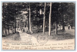 c1905 Lovers Lane Tree-lined Sacandaga Park New York NY Rotograph Postcard 