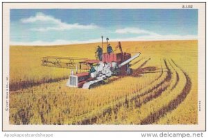 Tractor Harvesting Wheat Curteich