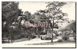 Saint Nazaire Old Postcard The garden plants