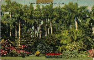 Stately Royal Palms Flowers FL Sunken Gardens St Petersburg Linen Postcard VTG 