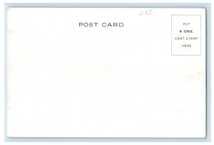 c1905 Delhi NY, The Village From The East, The Garden Of The Catskills Postcard