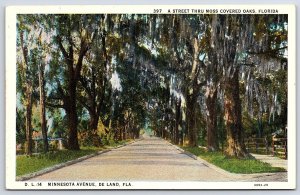 Vintage Postcard Street Moss Covered Oak Trees Minnesota Ave. De Land Florida FL