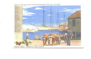 Oxen Cart, Four Masted Schooner, Yarmouth Nova Scotia,