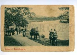 147329 Malaysia Kuala Kangsar KUALAKANGSA elephants Vintage