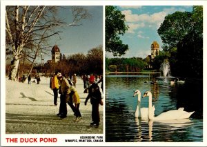 Canada Winnipeg Assinoboine Park The Duck Pond