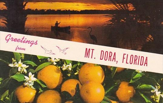 Florida Mount Dora Greetings From Mount Dora