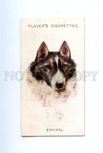 166928 ESKIMO by WARDLE John Player CIGARETTE card ADVERTISING