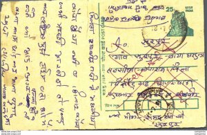 India Postal Stationery Tiger 25