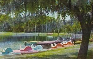 Florida sarasota Paddle Boats At Myakka State Park