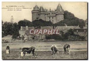 Postcard Old Combourg Chateau Pond and Vue Generale Cows