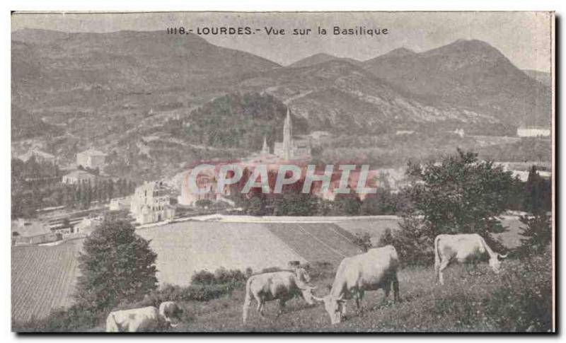 Old Postcard Lourdes view on the Basilica Cows