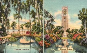 Vintage Postcard Cypress Gardens Winter Haven Singing Tower Lake Wales Florida